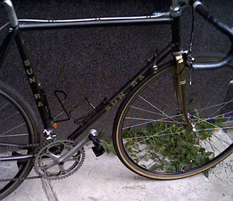 Plik:Rower- 0010 format-1.jpg