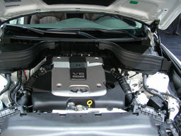 Infinity QX50 -0529.jpg