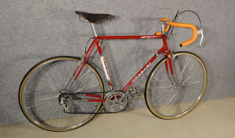 Plik:ZZR-Jaguar special -03.JPG