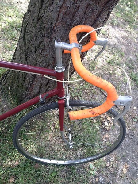 Plik:Jaguar przed -2.jpeg